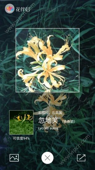 花伴侣app图片1