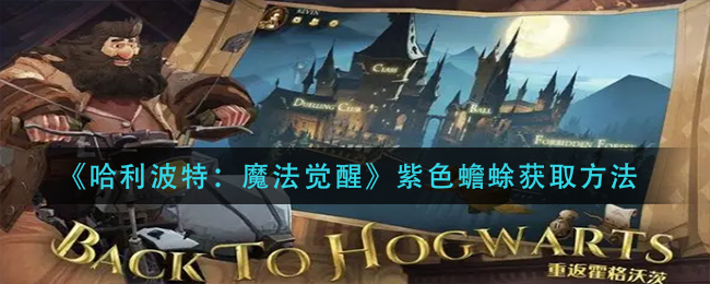 《哈利波特：魔法觉醒》紫色蟾蜍获取方法