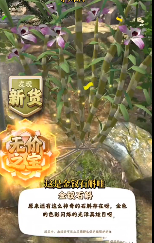 金钗石斛怎么获得
