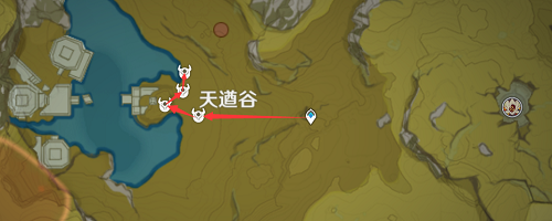 蜥蜴尾巴采集地点2022