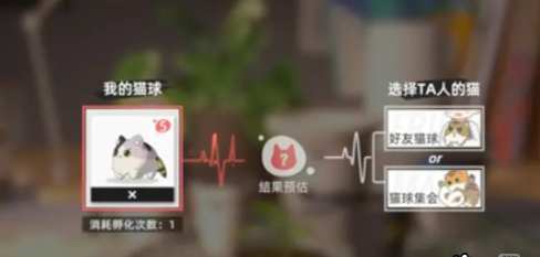 《猫之城》猫屋孵化攻略