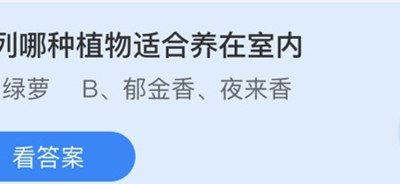 蚂蚁庄园：下列哪种植物适合养在室内