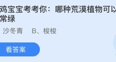 蚂蚁庄园：小鸡宝宝考考你哪种荒漠植物可以四季常绿