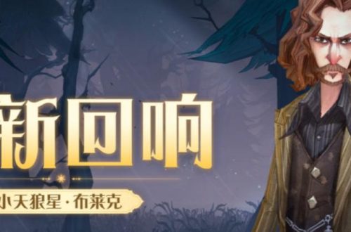 哈利波特魔法觉醒小天狼星布莱克回响介绍