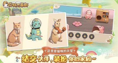 猫咪大陆开服时间表2022最新一览
