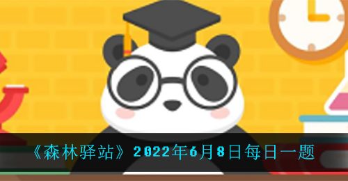 《森林驿站》2022年6月8日每日一题