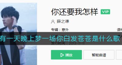 有一天晚上梦一场你白发苍苍是什么歌