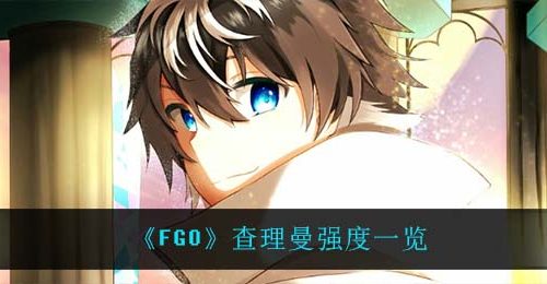 《FGO》查理曼强度一览
