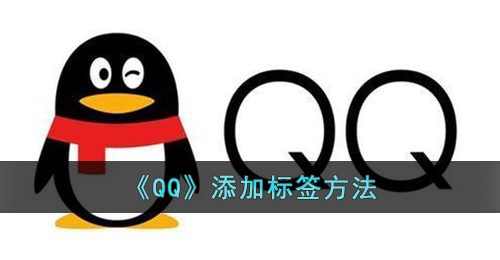 《QQ》添加标签方法