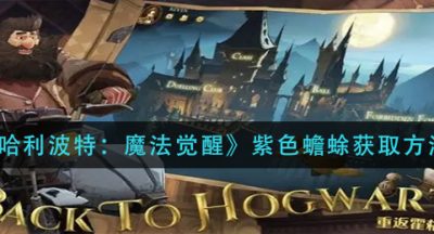 《哈利波特：魔法觉醒》紫色蟾蜍获取方法