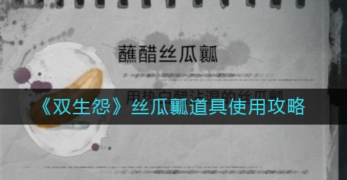 《双生怨》丝瓜瓤道具使用攻略