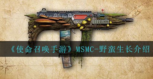 《使命召唤手游》MSMC-野蛮生长介绍