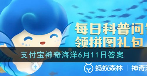 我国东部沿海区每年都有大量候鸟造访，迁图路线不经过我国的是