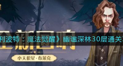 《哈利波特：魔法觉醒》幽谧深林30层通关攻略