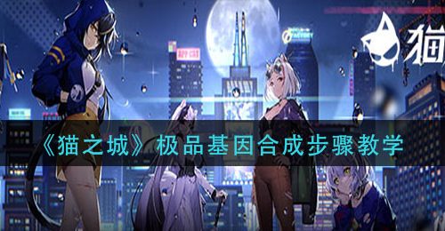 《猫之城》极品基因合成步骤教学