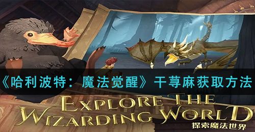 《哈利波特：魔法觉醒》干荨麻获取方法