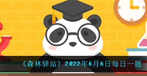 《森林驿站》2022年6月6日每日一题
