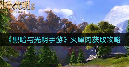 《黑暗与光明手游》火犀肉获取攻略