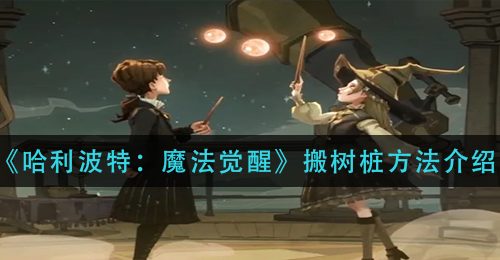 《哈利波特：魔法觉醒》搬树桩方法介绍