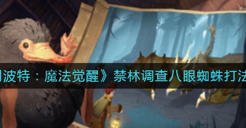 《哈利波特：魔法觉醒》禁林调查八眼蜘蛛打法攻略