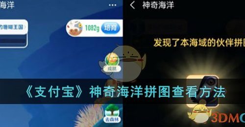 《支付宝》神奇海洋拼图查看方法