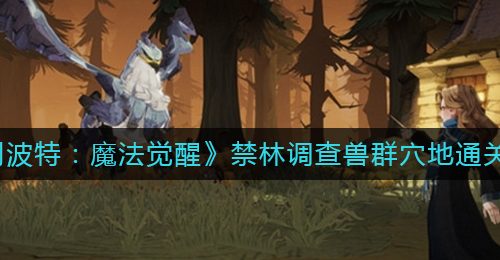 《哈利波特：魔法觉醒》禁林调查兽群穴地通关攻略