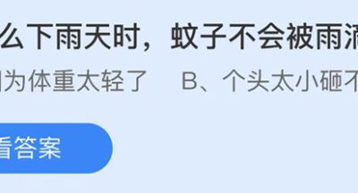 蚂蚁庄园：为什么下雨天时蚊子不会被雨滴砸死