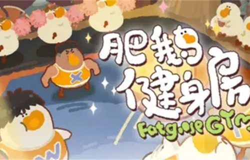 肥鹅健身房如何破网刷材料？