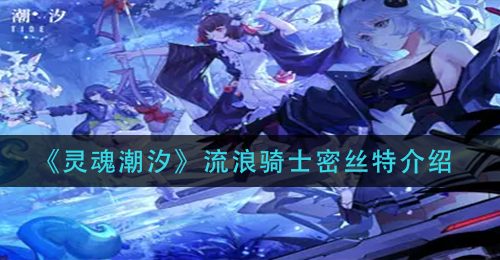 《灵魂潮汐》流浪骑士密丝特介绍