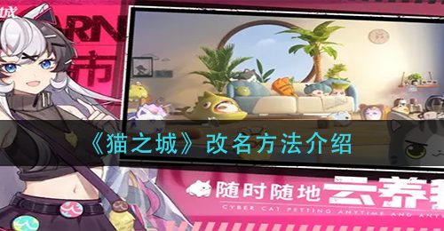 《猫之城》改名方法介绍