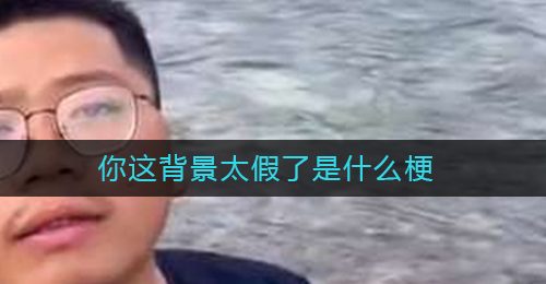 你这背景太假了是什么梗