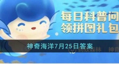 鳗鱼有鳞片吗