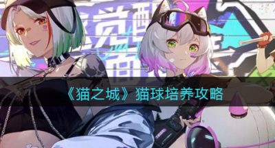 《猫之城》猫球培养攻略