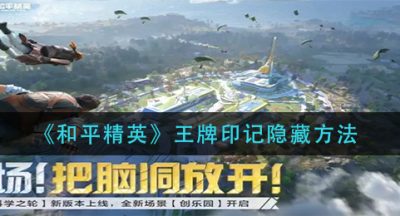 《和平精英》王牌印记隐藏方法