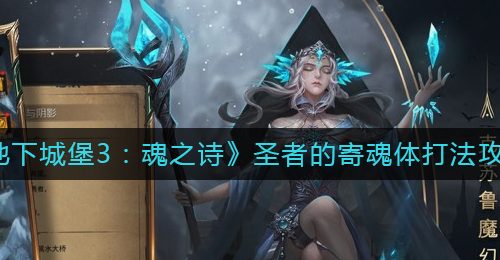 《地下城堡3：魂之诗》圣者的寄魂体打法攻略