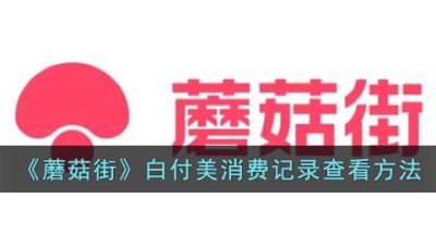 《蘑菇街》白付美消费记录查看方法