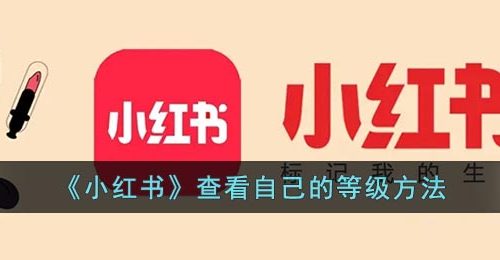 《小红书》查看自己的等级方法