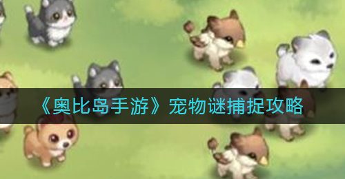 《奥比岛手游》宠物谜捕捉攻略