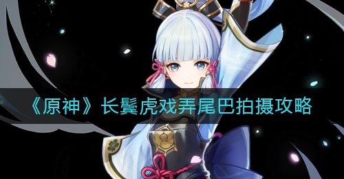 《原神》长鬓虎戏弄尾巴拍摄攻略