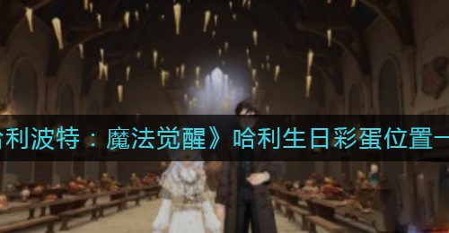 《哈利波特：魔法觉醒》哈利生日彩蛋位置一览