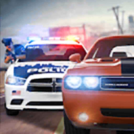 3D警察追捕3D Police Chase