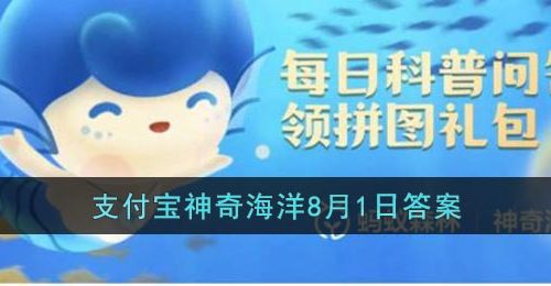 龙涎香来自于哪种海洋生物