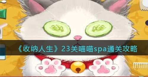 《收纳人生》23关喵喵spa通关攻略