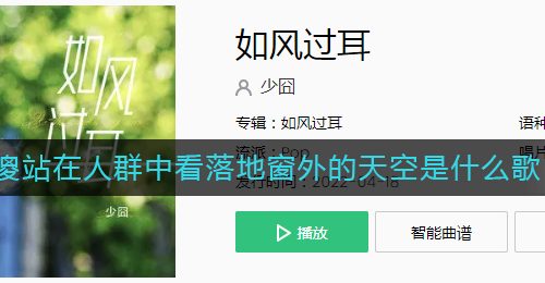 傻站在人群中看落地窗外的天空是什么歌
