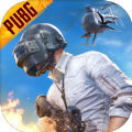 pubg小炎魔改obbV7（PUBG MOBILE）